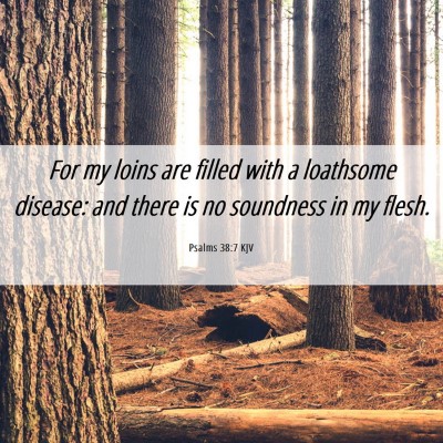 Picture 06 - Psalms 38:7 KJV - For my loins are filled with a loathsome disease: - Bible Verse Picture