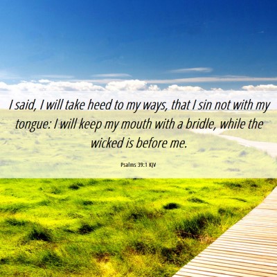 Picture 06 - Psalms 39:1 KJV - I said, I will take heed to my ways, that I sin - Bible Verse Picture