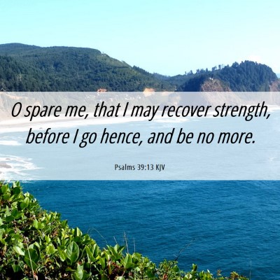 Picture 06 - Psalms 39:13 KJV - O spare me, that I may recover strength, before I - Bible Verse Picture