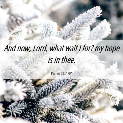 Picture 06 - Psalms 39:7 KJV - And now, Lord, what wait I for? my hope is in - Bible Verse Picture