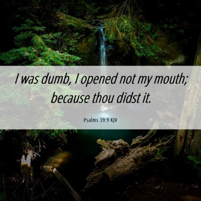 Picture 06 - Psalms 39:9 KJV - I was dumb, I opened not my mouth; because thou - Bible Verse Picture