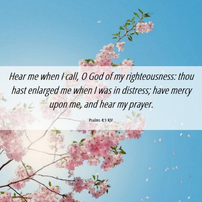Picture 06 - Psalms 4:1 KJV - Hear me when I call, O God of my righteousness: - Bible Verse Picture