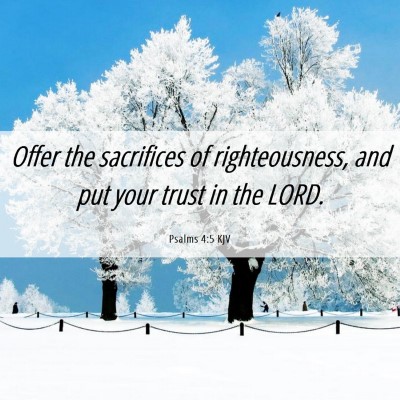 Picture 06 - Psalms 4:5 KJV - Offer the sacrifices of righteousness, and put - Bible Verse Picture
