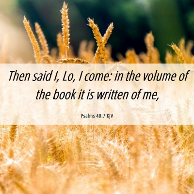 Picture 06 - Psalms 40:7 KJV - Then said I, Lo, I come: in the volume of the - Bible Verse Picture