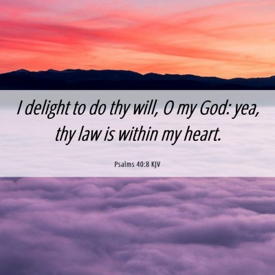 Picture 06 - Psalms 40:8 KJV - I delight to do thy will, O my God: yea, thy law - Bible Verse Picture
