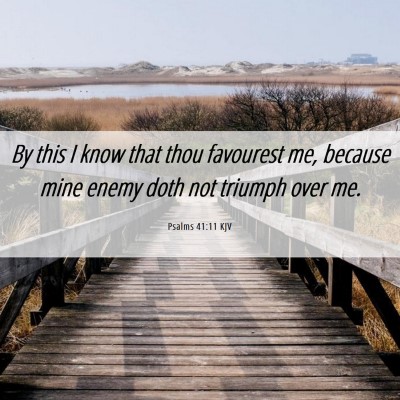 Picture 06 - Psalms 41:11 KJV - By this I know that thou favourest me, because - Bible Verse Picture