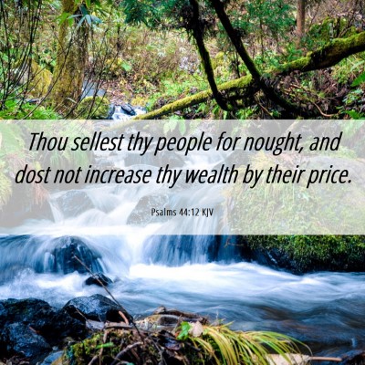 Picture 06 - Psalms 44:12 KJV - Thou sellest thy people for nought, and dost not - Bible Verse Picture