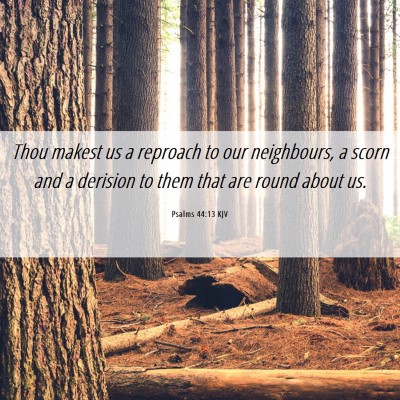 Picture 06 - Psalms 44:13 KJV - Thou makest us a reproach to our neighbours, a - Bible Verse Picture