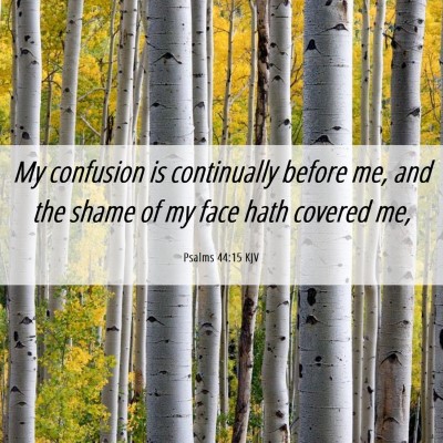 Picture 06 - Psalms 44:15 KJV - My confusion is continually before me, and the - Bible Verse Picture
