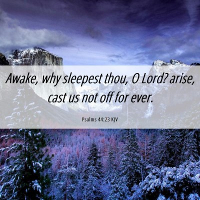 Picture 06 - Psalms 44:23 KJV - Awake, why sleepest thou, O Lord? arise, cast us - Bible Verse Picture
