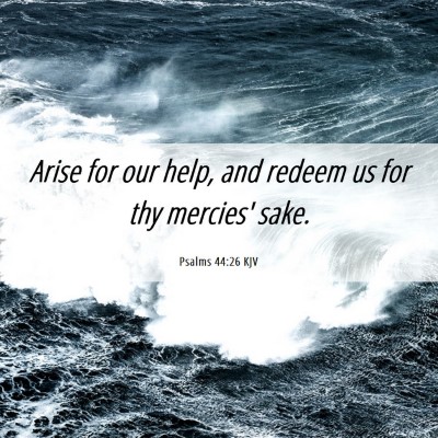 Picture 06 - Psalms 44:26 KJV - Arise for our help, and redeem us for thy - Bible Verse Picture