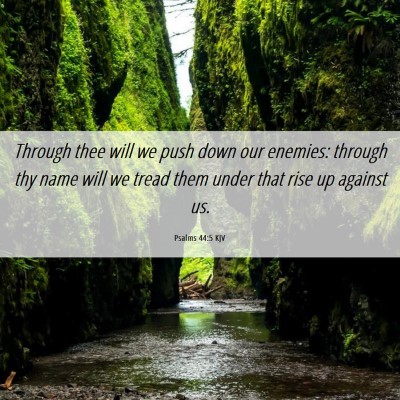 Picture 06 - Psalms 44:5 KJV - Through thee will we push down our enemies: - Bible Verse Picture