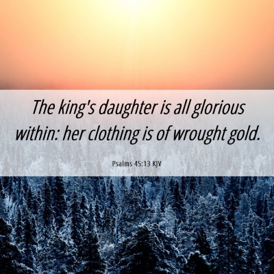 Picture 06 - Psalms 45:13 KJV - The king's daughter is all glorious within: her - Bible Verse Picture