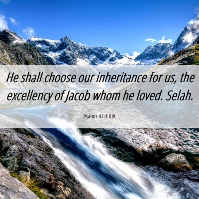Picture 06 - Psalms 47:4 KJV - He shall choose our inheritance for us, the - Bible Verse Picture