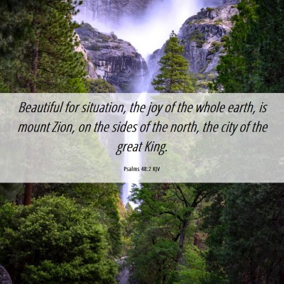 Picture 06 - Psalms 48:2 KJV - Beautiful for situation, the joy of the whole - Bible Verse Picture