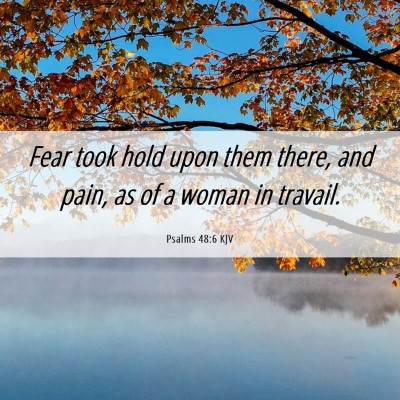 Picture 06 - Psalms 48:6 KJV - Fear took hold upon them there, and pain, as of a - Bible Verse Picture