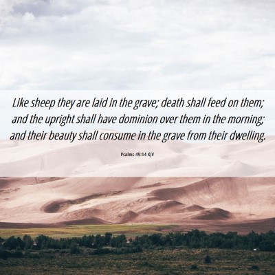 Picture 06 - Psalms 49:14 KJV - Like sheep they are laid in the grave; death - Bible Verse Picture