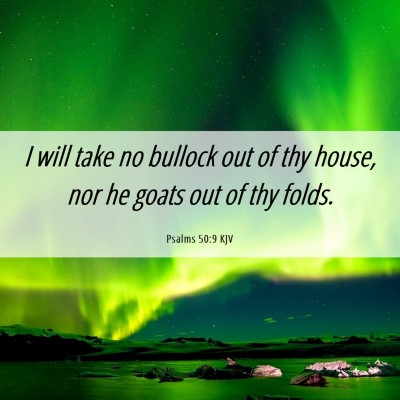 Picture 06 - Psalms 50:9 KJV - I will take no bullock out of thy house, nor he - Bible Verse Picture