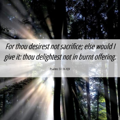 Picture 06 - Psalms 51:16 KJV - For thou desirest not sacrifice; else would I - Bible Verse Picture