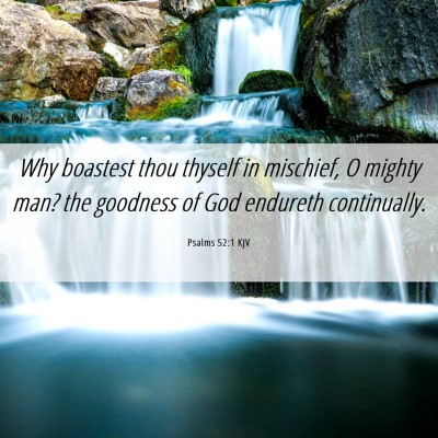 Picture 06 - Psalms 52:1 KJV - Why boastest thou thyself in mischief, O mighty - Bible Verse Picture