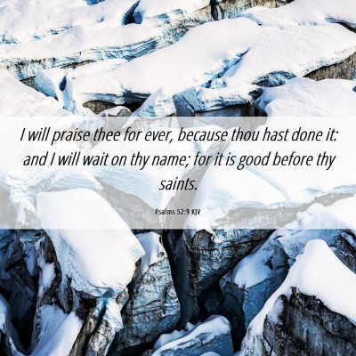 Picture 06 - Psalms 52:9 KJV - I will praise thee for ever, because thou hast - Bible Verse Picture