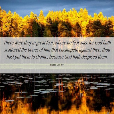 Picture 06 - Psalms 53:5 KJV - There were they in great fear, where no fear was: - Bible Verse Picture