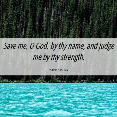 Picture 06 - Psalms 54:1 KJV - Save me, O God, by thy name, and judge me by thy - Bible Verse Picture