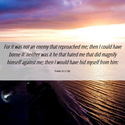 Picture 06 - Psalms 55:12 KJV - For it was not an enemy that reproached me; then - Bible Verse Picture