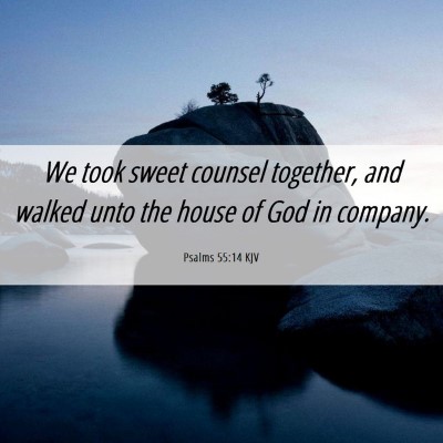 Picture 06 - Psalms 55:14 KJV - We took sweet counsel together, and walked unto - Bible Verse Picture
