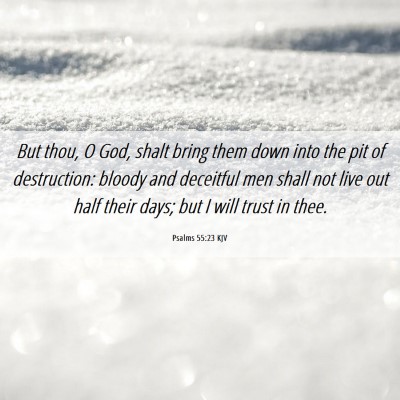 Picture 06 - Psalms 55:23 KJV - But thou, O God, shalt bring them down into the - Bible Verse Picture