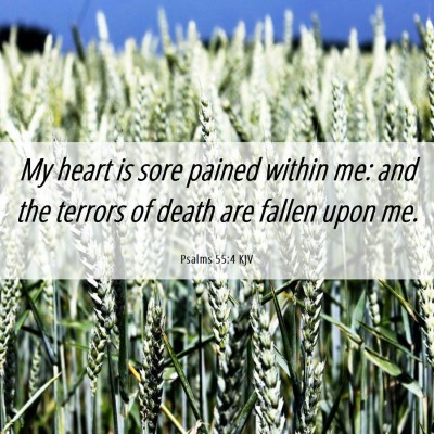 Picture 06 - Psalms 55:4 KJV - My heart is sore pained within me: and the - Bible Verse Picture