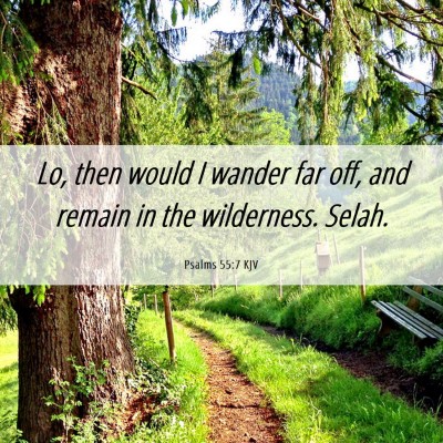 Picture 06 - Psalms 55:7 KJV - Lo, then would I wander far off, and remain in - Bible Verse Picture