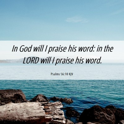 Picture 06 - Psalms 56:10 KJV - In God will I praise his word: in the LORD will I - Bible Verse Picture