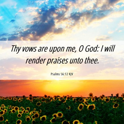 Picture 06 - Psalms 56:12 KJV - Thy vows are upon me, O God: I will render - Bible Verse Picture