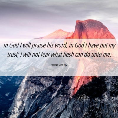 Picture 06 - Psalms 56:4 KJV - In God I will praise his word, in God I have put - Bible Verse Picture