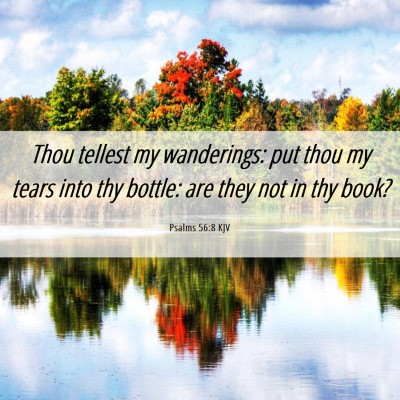 Picture 06 - Psalms 56:8 KJV - Thou tellest my wanderings: put thou my tears - Bible Verse Picture
