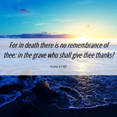 Picture 06 - Psalms 6:5 KJV - For in death there is no remembrance of thee: in - Bible Verse Picture