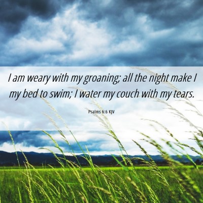Picture 06 - Psalms 6:6 KJV - I am weary with my groaning; all the night make I - Bible Verse Picture