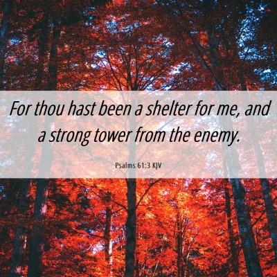 Picture 06 - Psalms 61:3 KJV - For thou hast been a shelter for me, and a strong - Bible Verse Picture