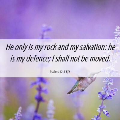 Picture 06 - Psalms 62:6 KJV - He only is my rock and my salvation: he is my - Bible Verse Picture