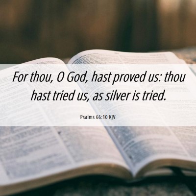 Picture 06 - Psalms 66:10 KJV - For thou, O God, hast proved us: thou hast tried - Bible Verse Picture