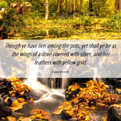 Picture 06 - Psalms 68:13 KJV - Though ye have lien among the pots, yet shall ye - Bible Verse Picture
