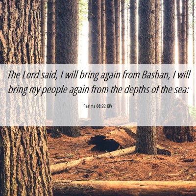 Picture 06 - Psalms 68:22 KJV - The Lord said, I will bring again from Bashan, I - Bible Verse Picture