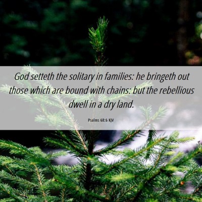 Picture 06 - Psalms 68:6 KJV - God setteth the solitary in families: he bringeth - Bible Verse Picture