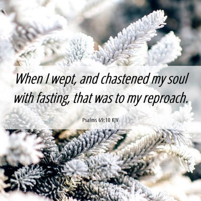 Picture 06 - Psalms 69:10 KJV - When I wept, and chastened my soul with fasting, - Bible Verse Picture