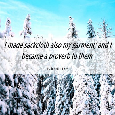 Picture 06 - Psalms 69:11 KJV - I made sackcloth also my garment; and I became a - Bible Verse Picture