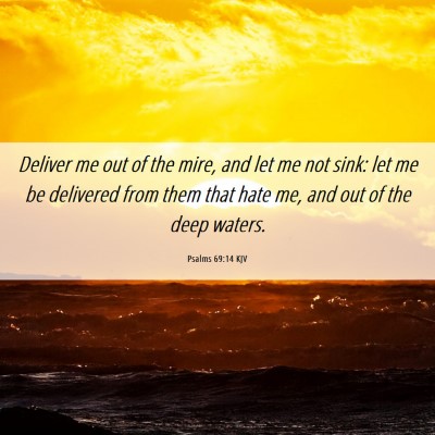 Picture 06 - Psalms 69:14 KJV - Deliver me out of the mire, and let me not sink: - Bible Verse Picture