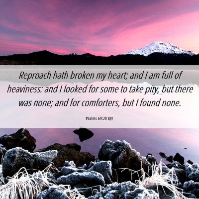 Picture 06 - Psalms 69:20 KJV - Reproach hath broken my heart; and I am full of - Bible Verse Picture