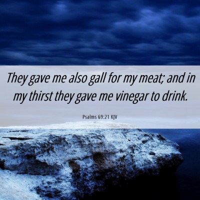 Picture 06 - Psalms 69:21 KJV - They gave me also gall for my meat; and in my - Bible Verse Picture