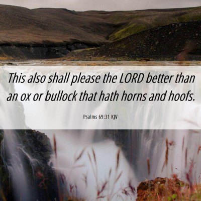 Picture 06 - Psalms 69:31 KJV - This also shall please the LORD better than an ox - Bible Verse Picture